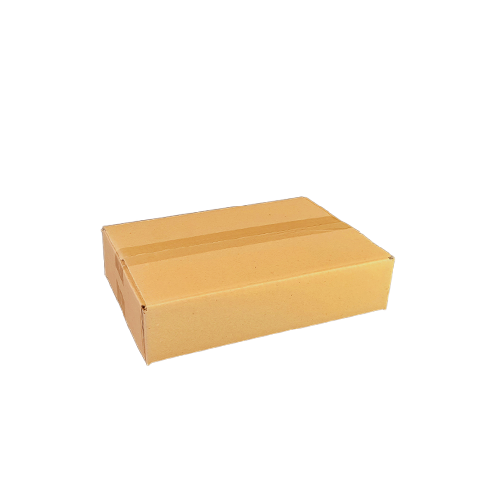 2B-504 5L  Rectangular Base Shipping Carton – 335mm x 215mm x 70mm  (25)